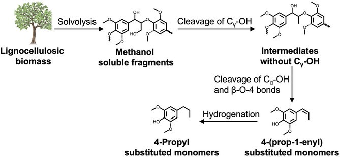 广州能源所在生物质组分分离和解聚方面取得新进展